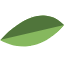 medium leaf