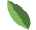 small leaf