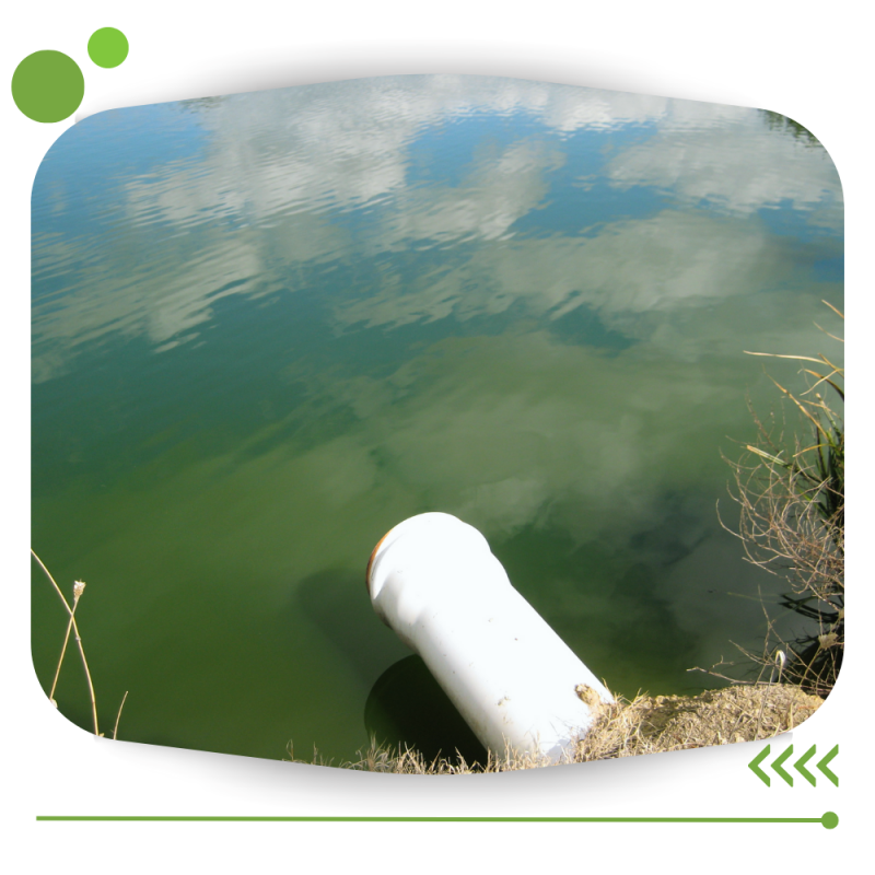 Exencion De Permiso De Descarga De Aguas Residuales _ Renovacion