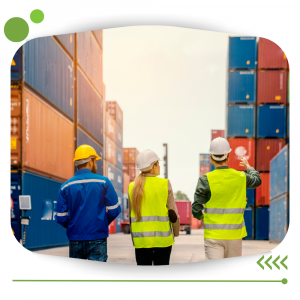 Permiso de Importacion Semarnat