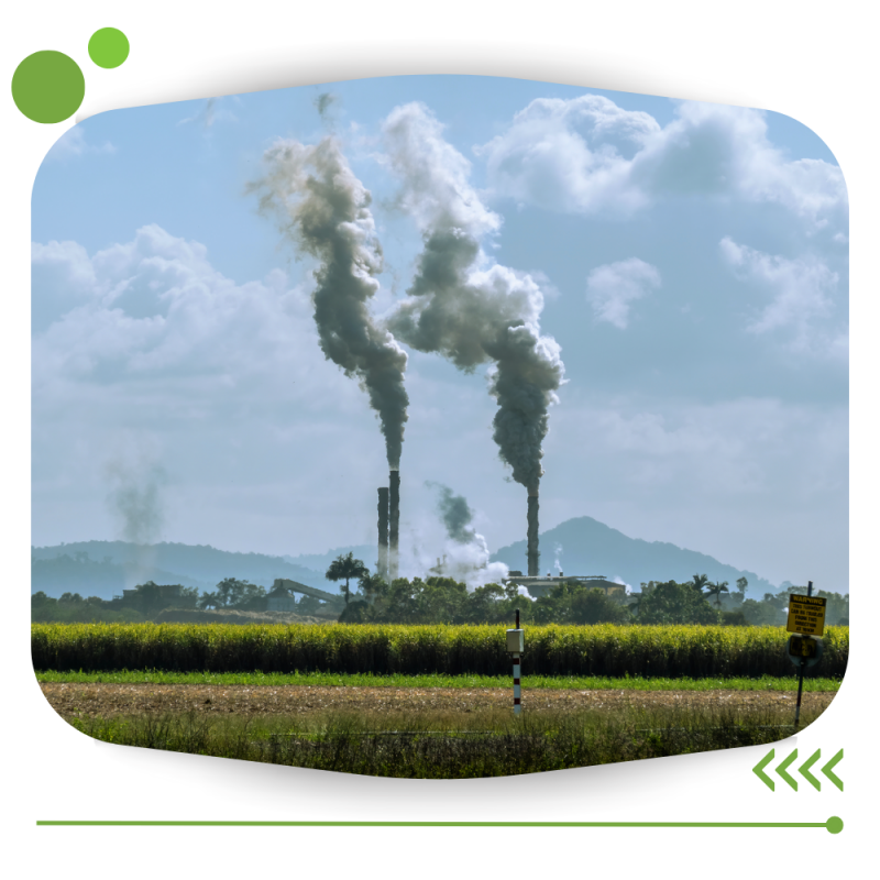Registro De Fuentes Emisoras A La Atmosfera _Revalidacion
