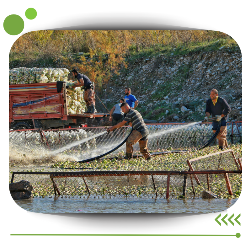 Instalaciones, maquinaria, equipo y herramientas agri╠ücolas
