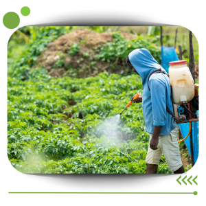 Plaguicidas y fertilizantes